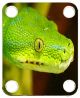 Snake Green 2