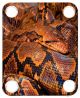 Snake Python 1