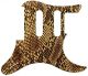 Snake Skin 1