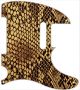 Snake Skin 1 - Vintera '50s Tele