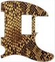 Snake Skin 1