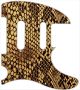 Snake Skin 1