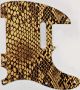Snake Skin 1 - Vintera '60s Tele