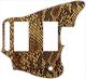 Snake Skin 1
