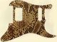 Snake Skin 1