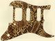 Snake Skin 1