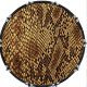 Snake Skin 1