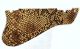 Snake Skin 1