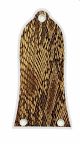 Snake Skin 1
