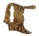 Snake Skin 1