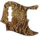 Snake Skin 1