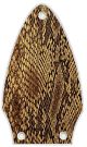 Snake Skin 1