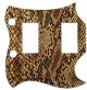 Snake Skin 1
