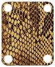 Snake Skin 1
