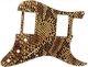 Snake Skin 1