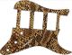 Snake Skin 1