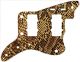 Snake Skin 1