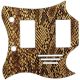 Snake Skin 1