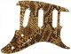 Snake Skin 1