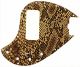 Snake Skin 1