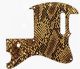 Snake Skin 1
