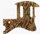 Snake Skin 1