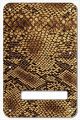 Snake Skin 1