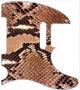 Snake Skin 2 - Vintera '50s Tele