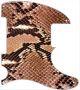 Snake Skin 2