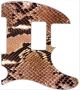 Snake Skin 2