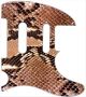 Snake Skin 2