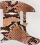 Snake Skin 2 - Vintera '60s Tele
