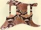 Snake Skin 2