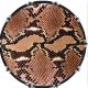 Snake Skin 2