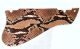 Snake Skin 2