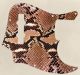 Snake Skin 2