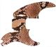 Snake Skin 2