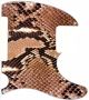 Snake Skin 2 - Avril Lavigne Tele