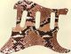 Snake Skin 2 - Vintera '70s Strat