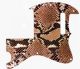 Snake Skin 2
