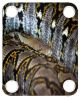 Snake Skin 3