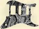 Snake Skin Black & White