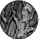 Snake Skin BW