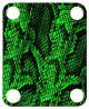 Snake Skin GR