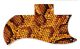 Snake Skin Yellow