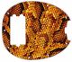 Snake Skin Yellow