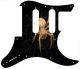 Spiders 2
