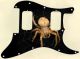 Spiders 2