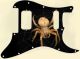 Spiders 2
