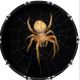 Spider 2